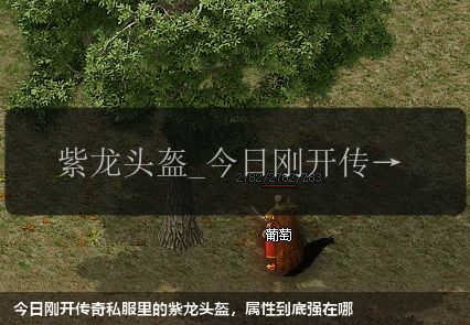 今日刚开传奇私服里的紫龙头盔,属性到底强在哪