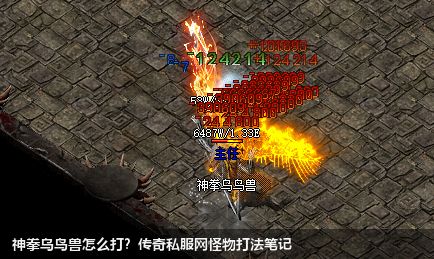 传奇私服网：神拳乌鸟兽攻略技巧