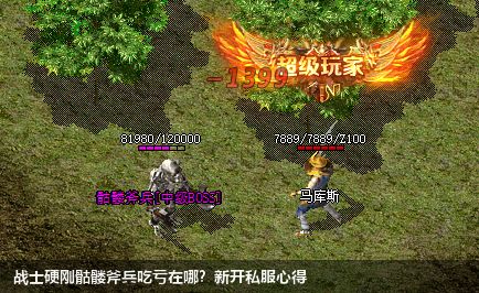 新开私服中战士挑战骷髅斧兵有哪些弊端？