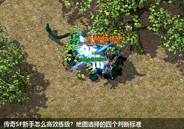传奇SF新手怎么高效练级?地图选择的四个判断标准