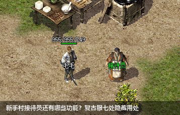 新手村接待员还有哪些功能？复古服七处隐藏用处