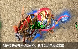 新开传奇发布网畅玩体验:战斗激情与成长策略