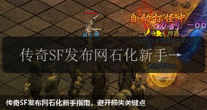 传奇SF发布网石化新手指南，避开损失关键点