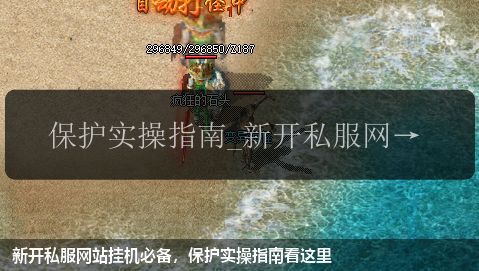 新开私服网站挂机必备，保护实操指南看这里