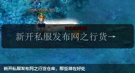 新开私服发布网之行货仓库,那些潜在好处