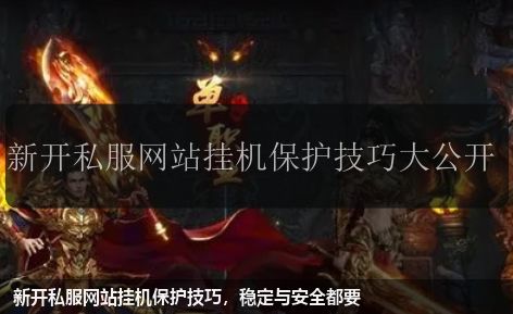 新开私服网站挂机保护技巧,稳定与安全都要