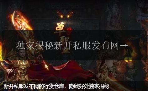 新开私服发布网的行货仓库,隐藏好处独家揭秘