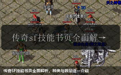 传奇SF技能书页全面解析,种类与数量逐一介绍