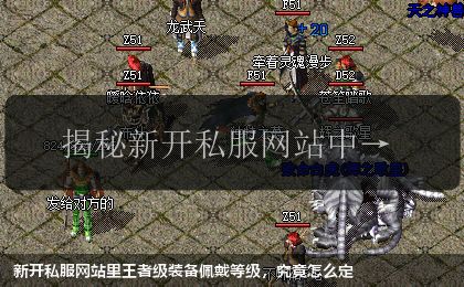 新开私服网站里王者级装备佩戴等级,究竟怎么定