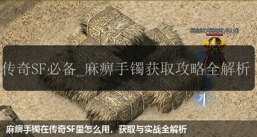 麻痹手镯在传奇SF里怎么用，获取与实战全解析