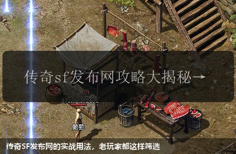 传奇SF发布网的实战用法，老玩家都这样筛选