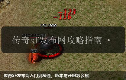 传奇SF发布网入门到精通，版本与开服怎么挑